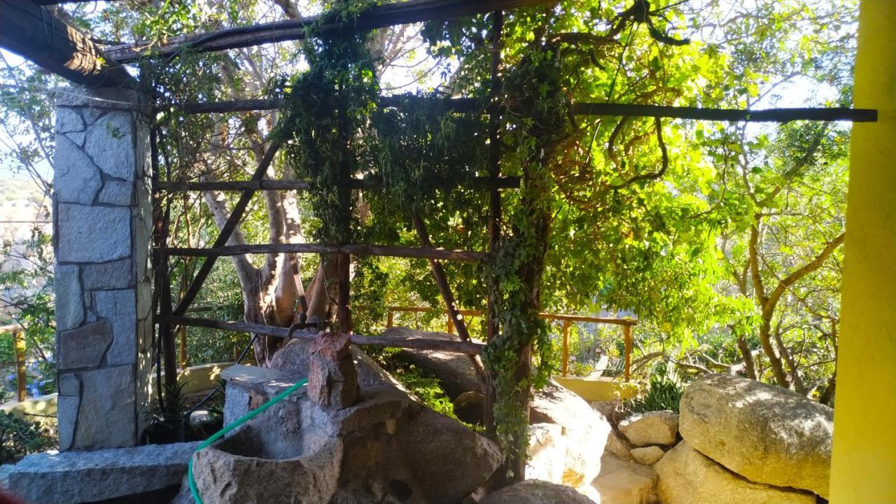 Villa Milena Villasimius, Wifi Gratuito, Ampio Giardino A 300 M Dal Mare מראה חיצוני תמונה